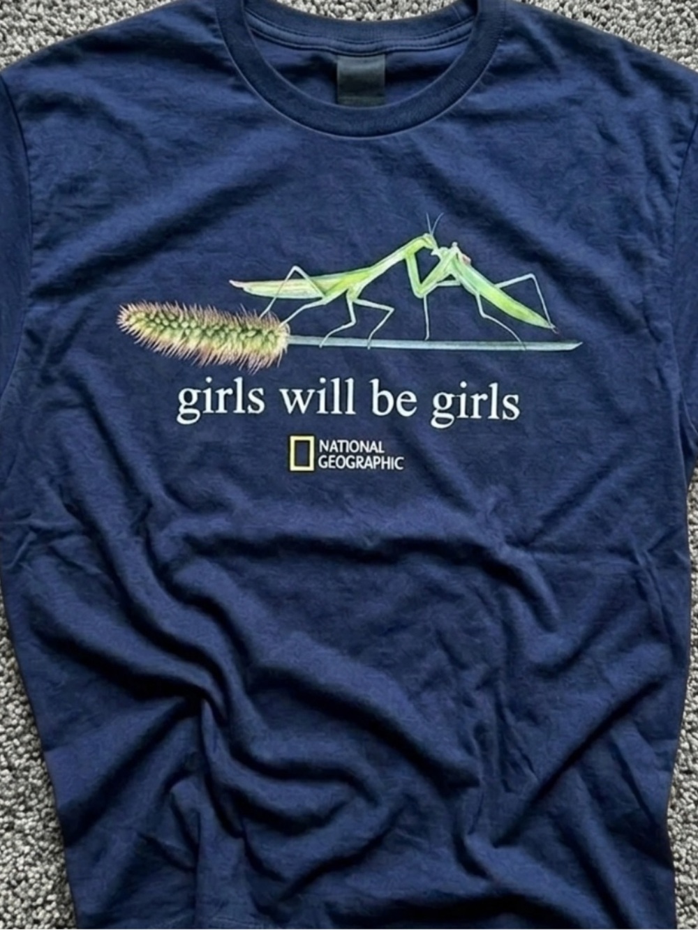 National Geographic Navy Tee with Green Praying Mantis Graphic Unisex Size L
